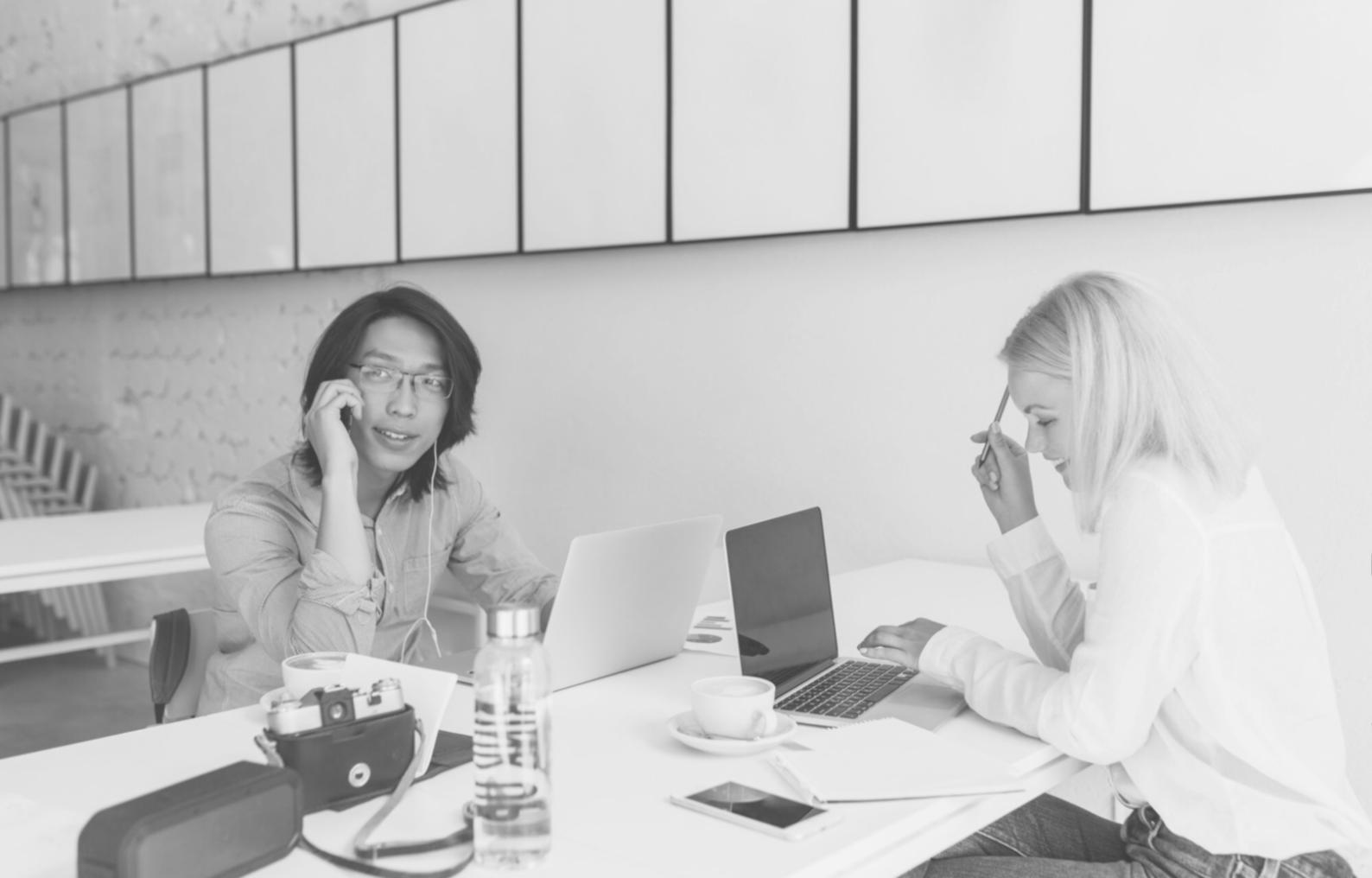 Interaktive Budgetplanung am Computer